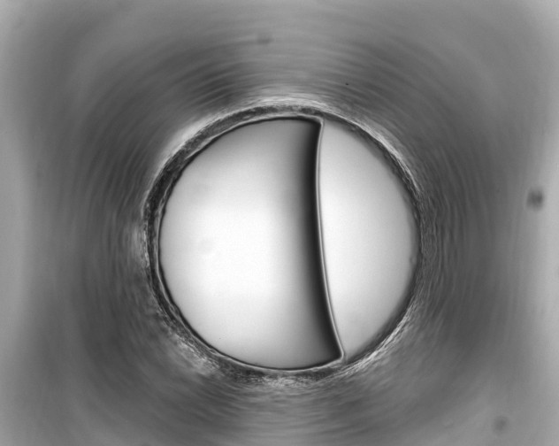 X0000099561022200805160745