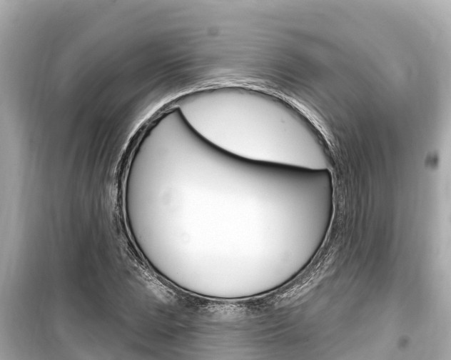 X0000099561023200805160745