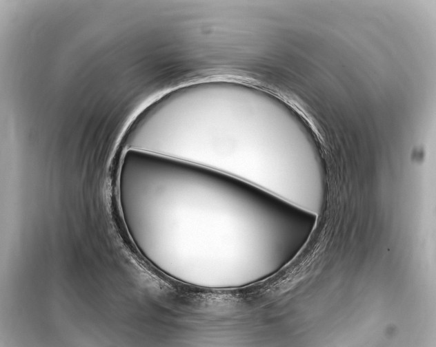 X0000099561024200805160745