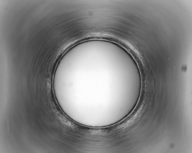 X0000099561025200805160745