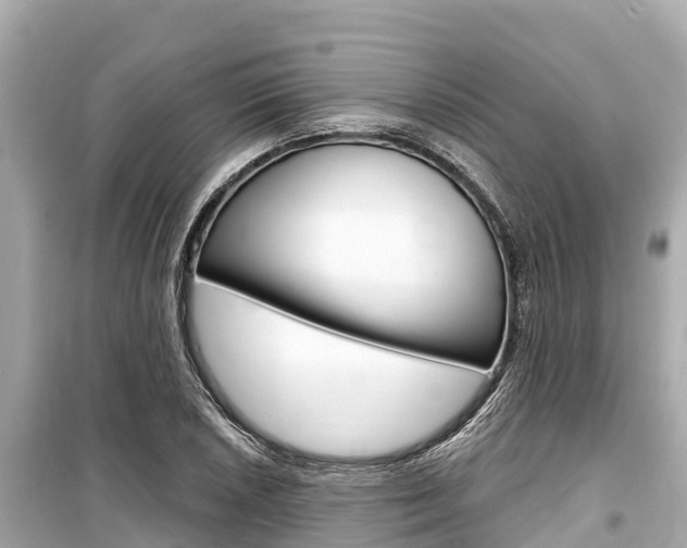 X0000099561026200805160745