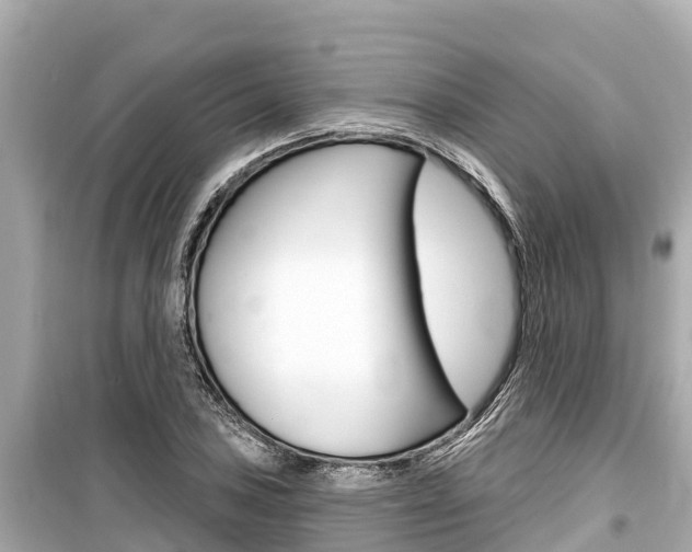 X0000099561027200805160745
