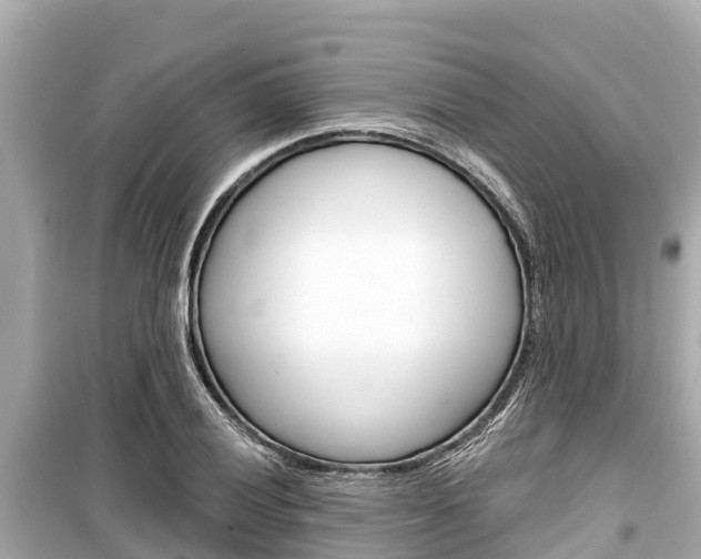 X0000099561028200805160745