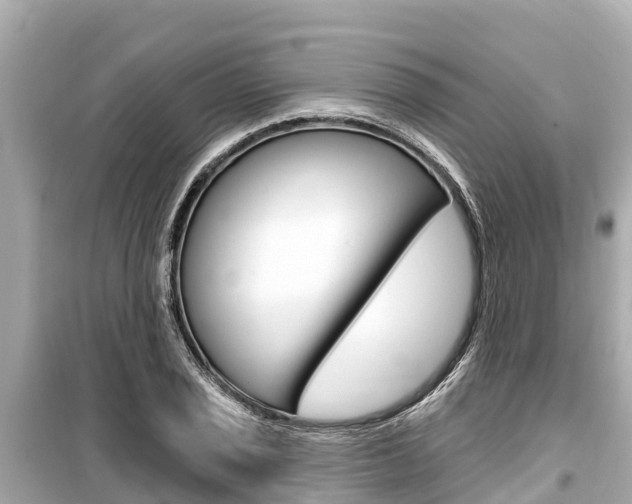 X0000099561029200805160745