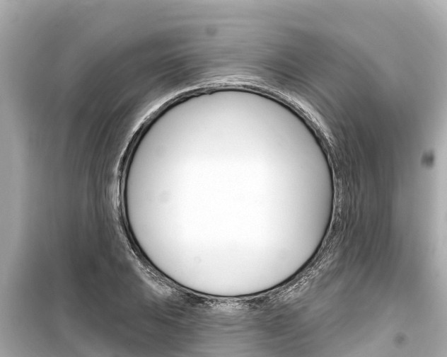 X0000099561031200805160745
