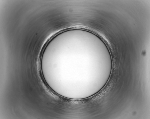 X0000099561032200805160745