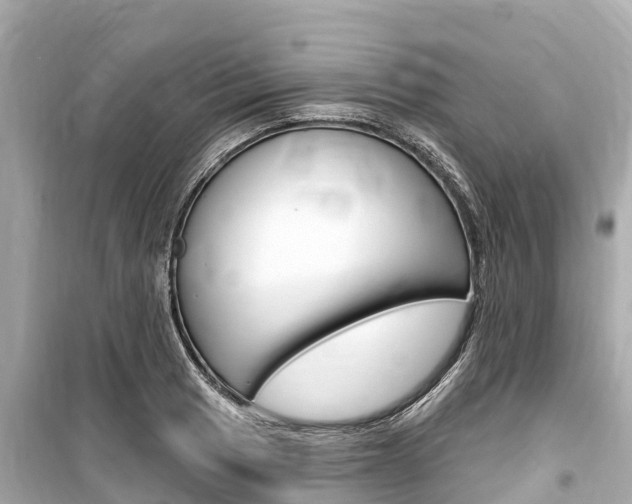 X0000099561033200805160745
