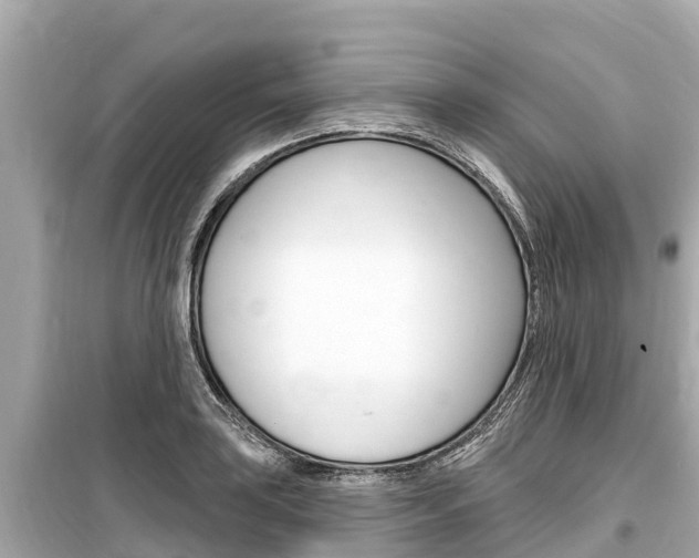 X0000099561035200805160745