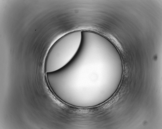 X0000099561036200805160745