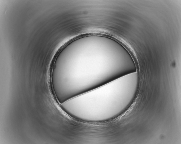 X0000099561037200805160745