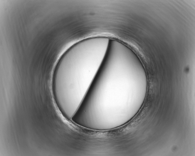 X0000099561038200805160746