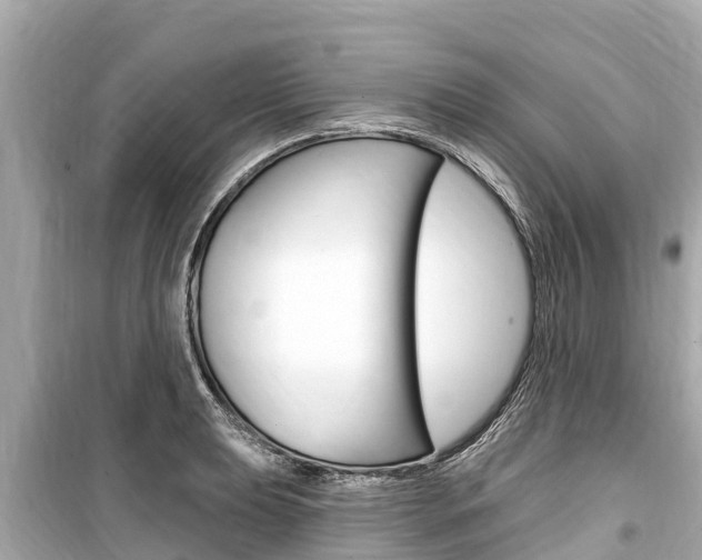 X0000099561039200805160746