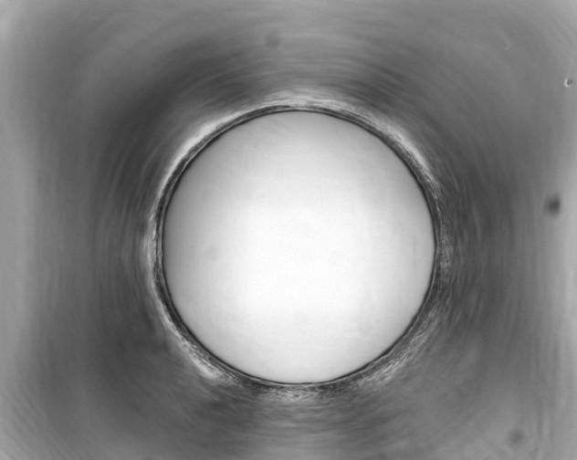 X0000099561040200805160746