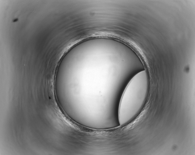 X0000099561041200805160746