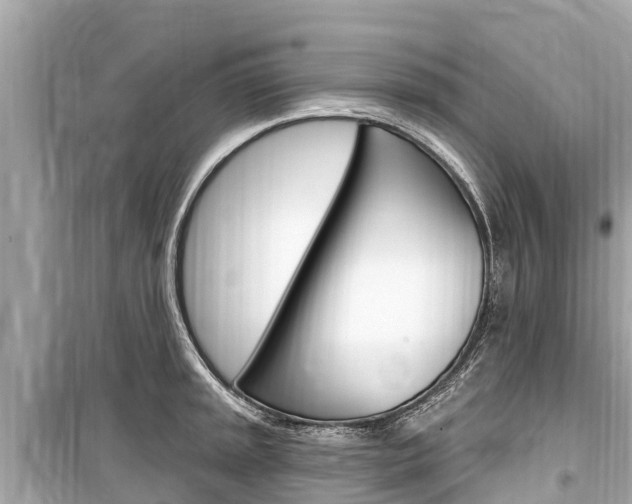 X0000099561045200805160746