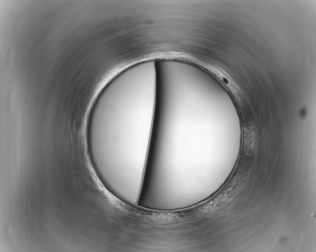 X0000099561046200805160746