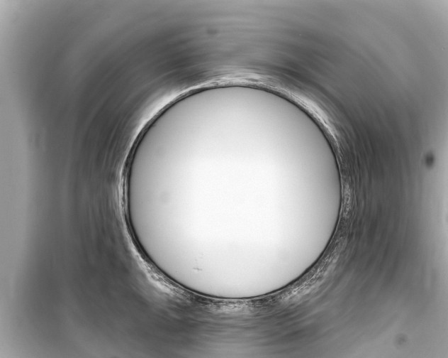 X0000099561047200805160746