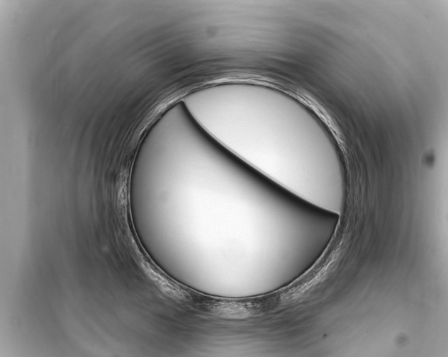 X0000099561049200805160746