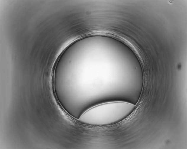 X0000099561050200805160746