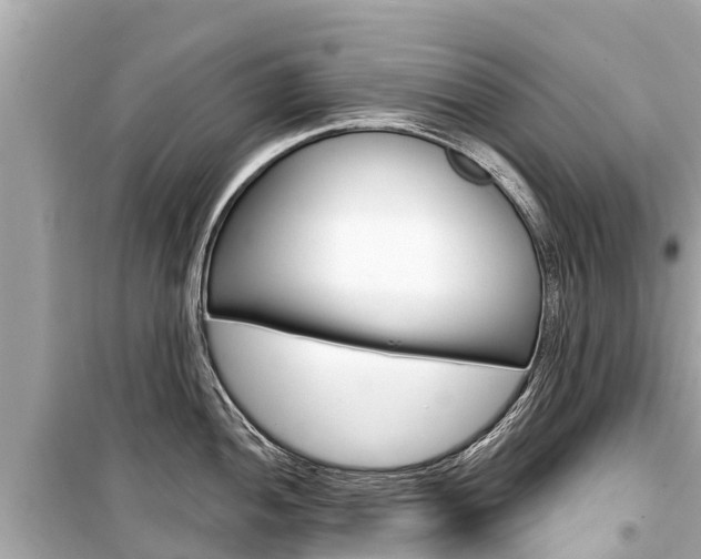 X0000099561052200805160746