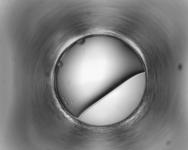X0000099561053200805160746