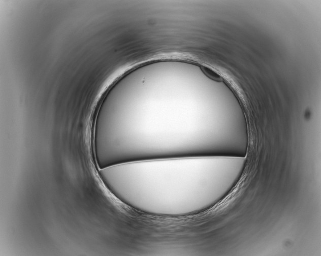 X0000099561054200805160746
