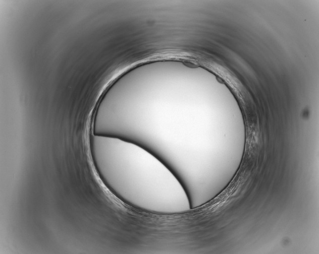 X0000099561055200805160746
