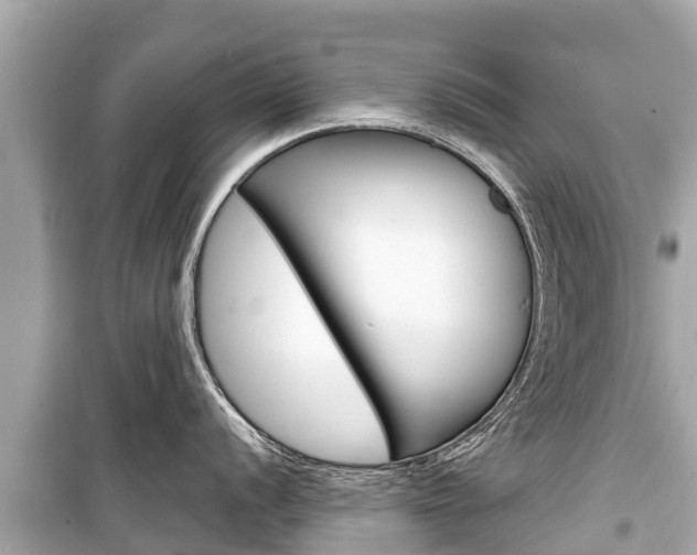 X0000099561056200805160746