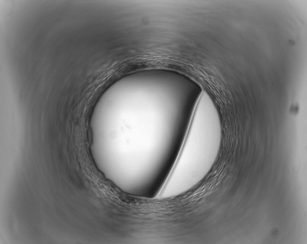 X0000099561057200805160745