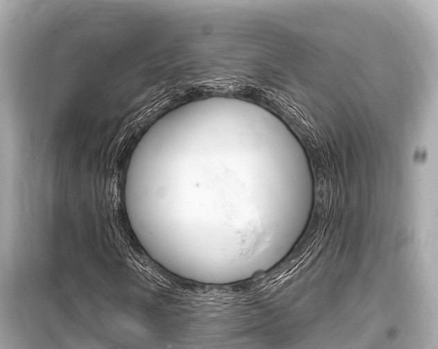 X0000099561058200805160745