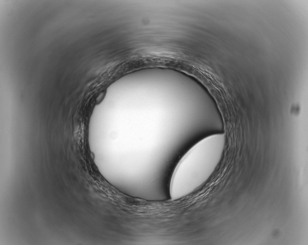 X0000099561061200805160745