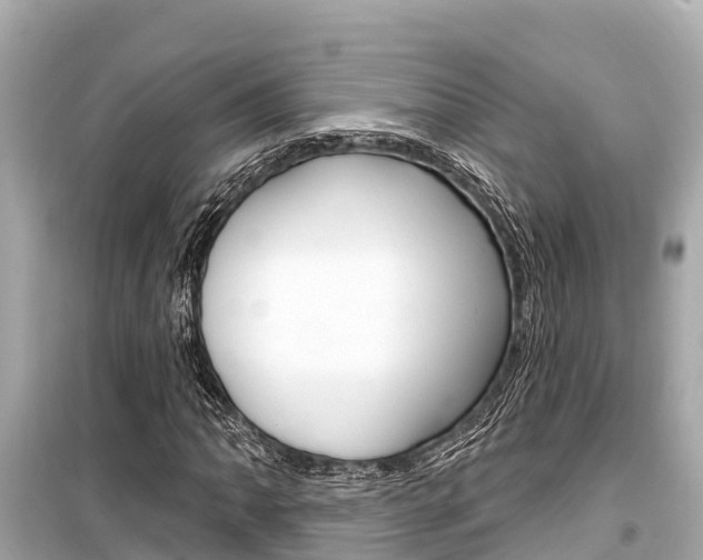 X0000099561062200805160745