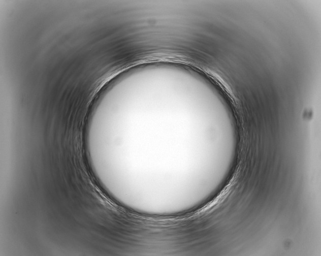 X0000099561065200805160745
