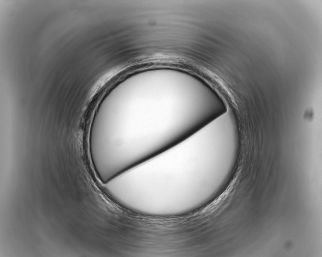 X0000099561066200805160745