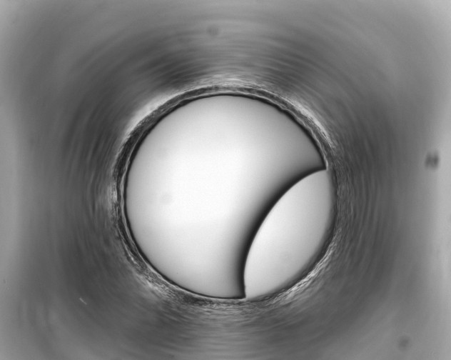 X0000099561070200805160745