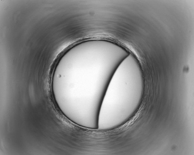 X0000099561071200805160745
