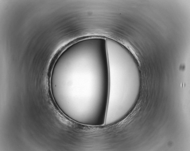 X0000099561072200805160745