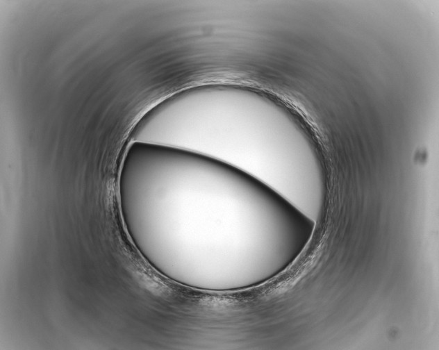 X0000099561073200805160745