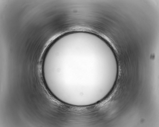 X0000099561074200805160745
