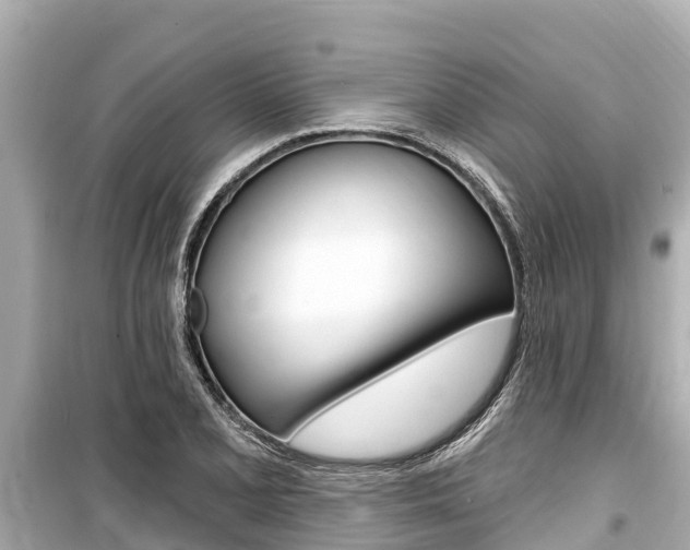 X0000099561077200805160745