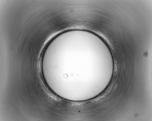 X0000099561078200805160745