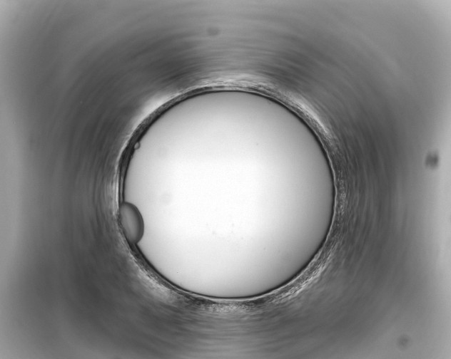 X0000099561079200805160745