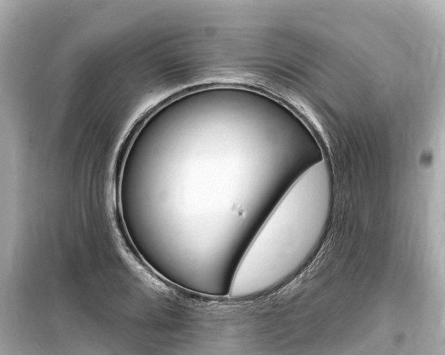 X0000099561080200805160745