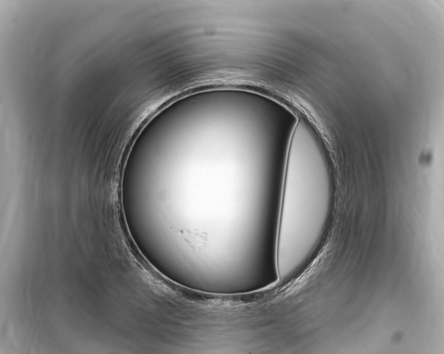 X0000099561081200805160745