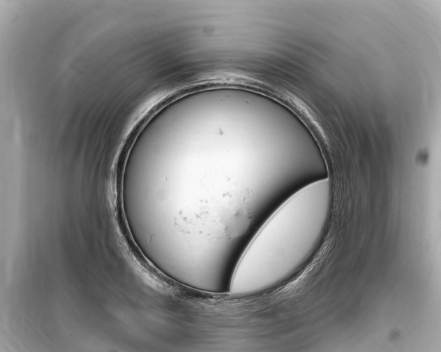 X0000099561082200805160745