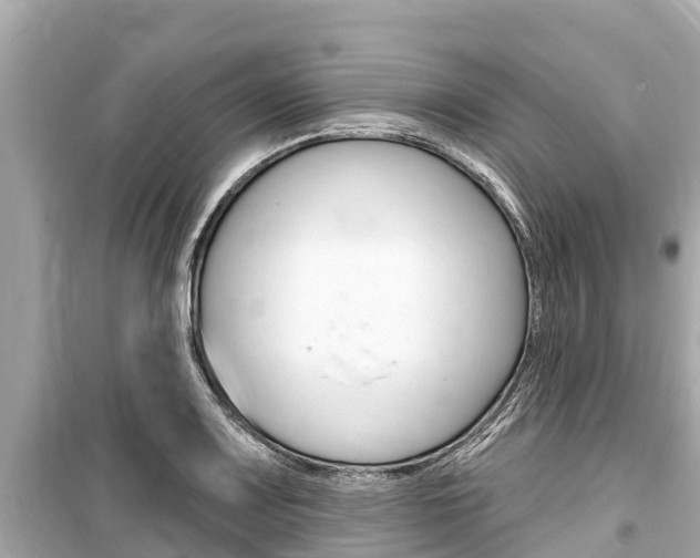X0000099561083200805160745