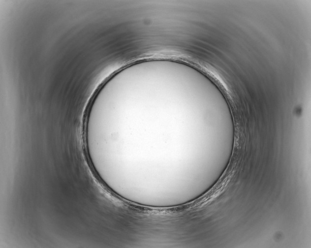 X0000099561087200805160745