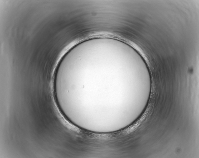 X0000099561090200805160745
