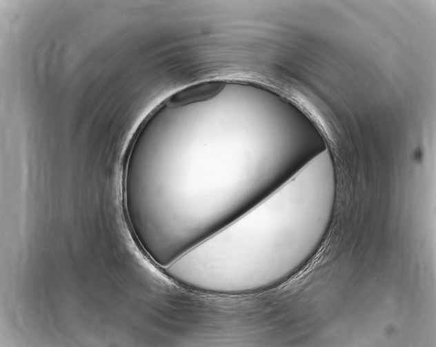X0000099561092200805160745
