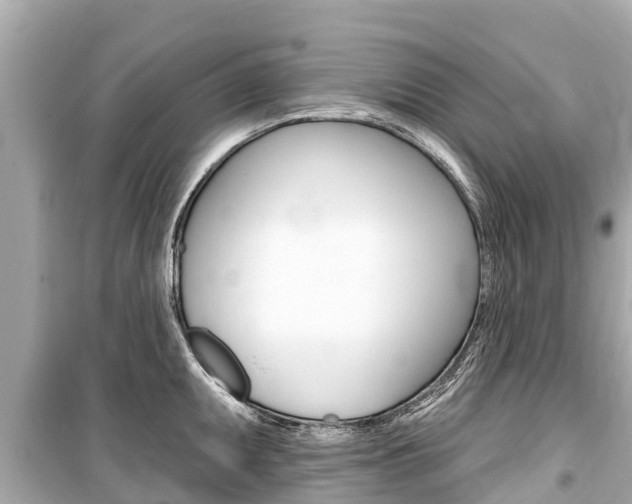 X0000099561095200805160745
